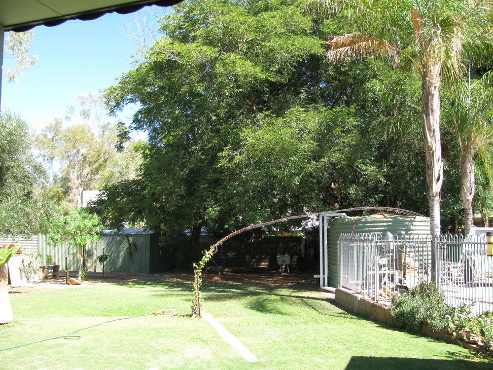 Kathys Place Bed And Breakfast Alice Springs Exterior photo